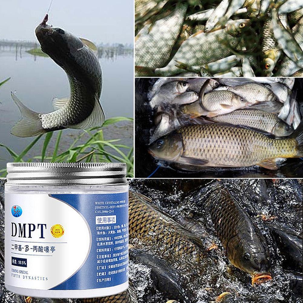 50g dmpt แท้บริสุทธิ์สูง umpan - Fishing Equipment For Sale บทวิจารณ์และราคา